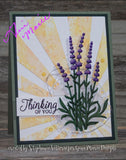 LAVENDER BUNDLE DIE SET - Gina Marie Designs