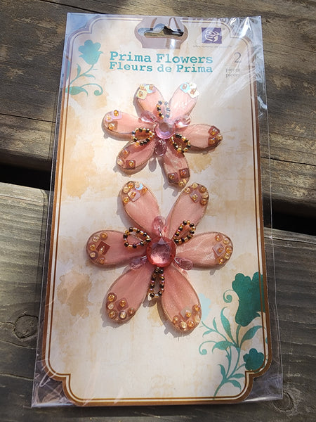 BLUSH - PRIMA FLOWERS