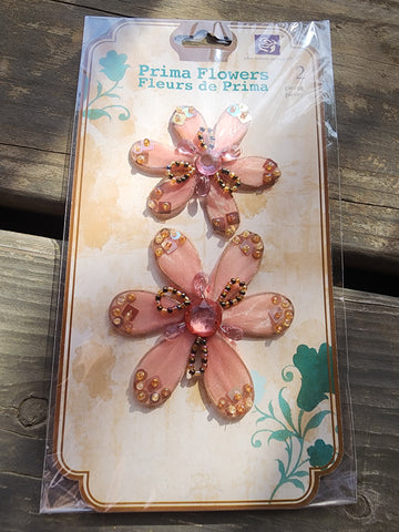 BLUSH - PRIMA FLOWERS