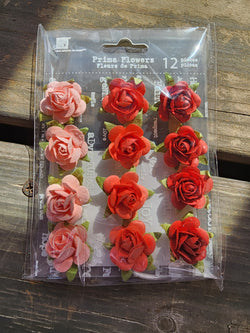 FAIRY TALE ROSES CORAL - PRIMA
