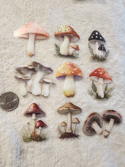 FAIRY MUSHROOMS 1 - Clear Decals