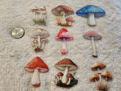 FAIRY MUSHROOMS 2 - Clear Decals