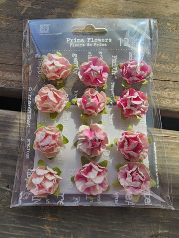 FAIRY TALE ROSES CAMEO - PRIMA