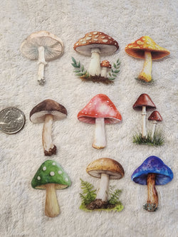 FAIRY MUSHROOMS 5 - Clear Decals