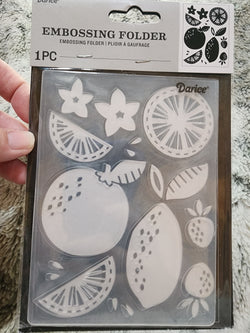DARICE EMBOSSING FOLDER - CITRUS FRUIT