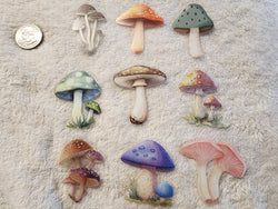 FAIRY MUSHROOMS 3 - Clear Decals