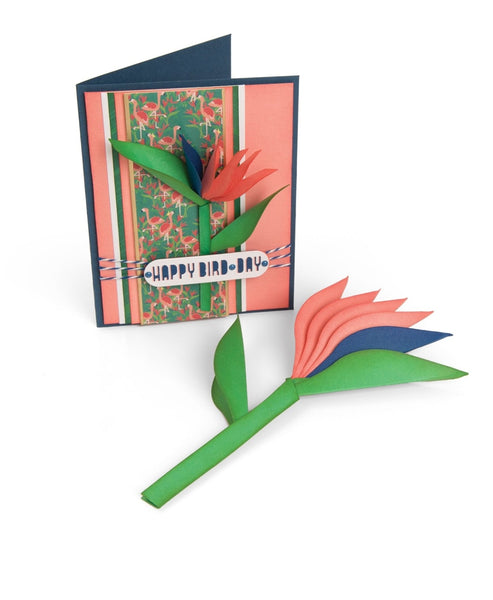 Sizzix Framelits Die Set 6PK - Bird of Paradise, 2-D & 3-D